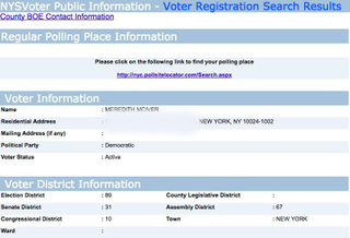 NYS Voter Public Information (Screenshot: Snopes.com)